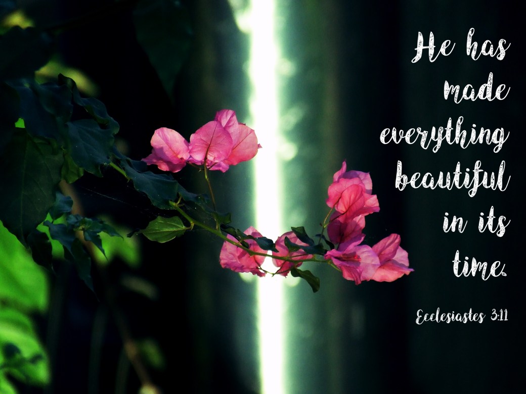 Everything Beautiful